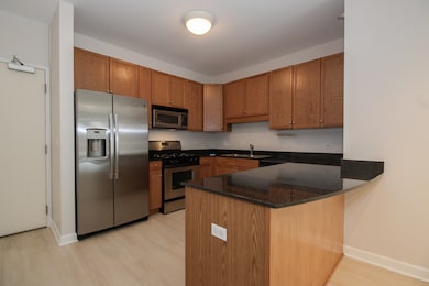1111 S State St unit A505, Chicago, IL 60605 - photo 3