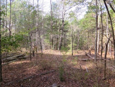 Tbd Burrage Rd unit LotWP001, Enterprise, MS 39330 - photo 4