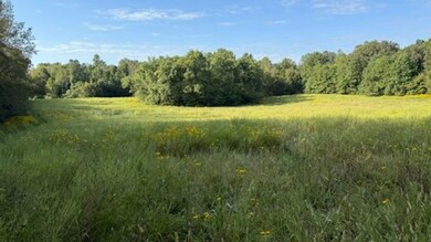 277 Wheeler Rd unit LotWP001, Magnolia, KY 42757 - photo 7