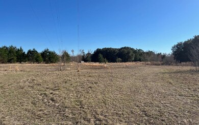 820 NW Frontier Dr, Lake City, FL 32055 - photo 3