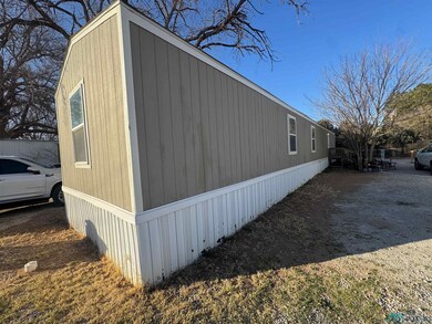 1716 N Canal Street #13 St, Carlsbad, NM 88220 - photo 3