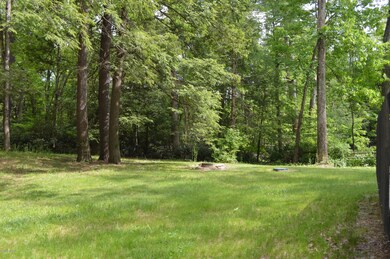 142 Lower Middle Creek Rd, Kunkletown, PA 18058 - photo 3