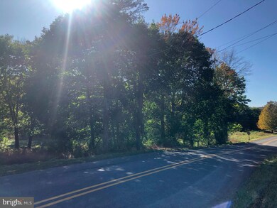 48 Mush Dahl Rd, New Ringgold, PA 17960 - photo 2