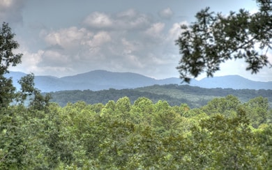 Additional View