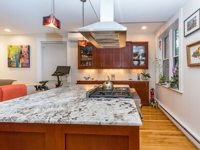 34 Station St unit 3, Brookline, MA 02445 - photo 4