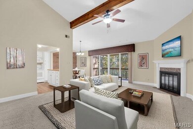 5270 Cedarstone Ct unit C, Saint Louis, MO 63129 - photo 6