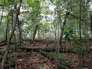 0 Dale Earnhardt Dr unit 3313928, Burnsville, NC 28714 - photo 7