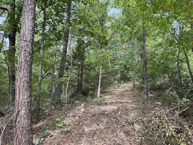 Tract 7 unit Terrapin Rd, Harrison, AR 72601 - photo 6