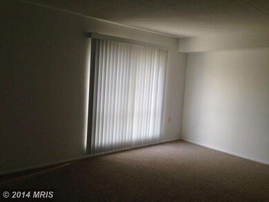 8611 Sacramento Dr unit D, Alexandria, VA 22309 - photo 5