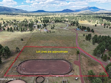 Arena Boundary
