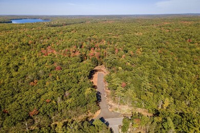 10-web-or-mls-DJI_0344