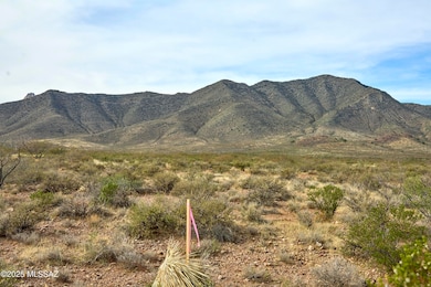 Tbd Foothills Rd unit C, Portal, AZ 85632 - photo 4