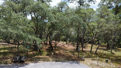 1401 Turtleback Trail, Panama City Beach, FL 32413 - photo 5