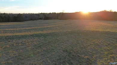 4.51 Ester Rd, Grant, AL 35747 - photo 5