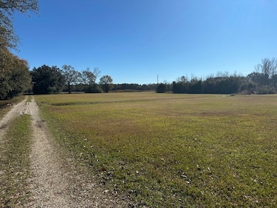 NHN Werner Rd, Picayune, MS 39466 - photo 5