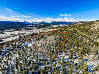 96 Dead Toad Rd, Fairplay, CO 80440 - photo 2