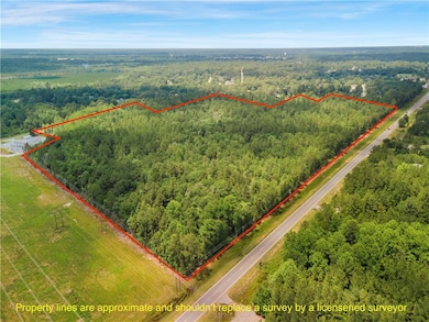 50 Ac Hwy 301, Jesup, GA 31546 - photo 2