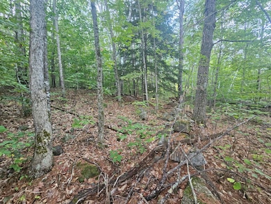 708 Webbs Mills Rd, Raymond, ME 04071 - photo 3