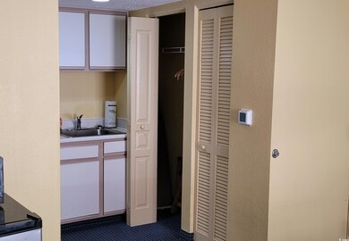 Closet featuring sink