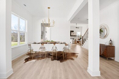 2917 Chaudoin Ct, Murfreesboro, TN 37129 - photo 3