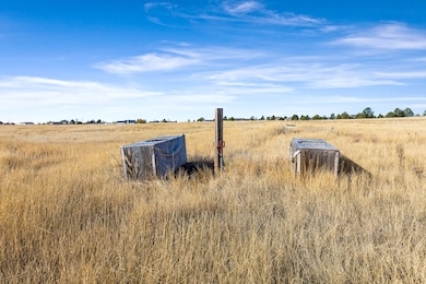 Tbd Highway 86, Elizabeth, CO 80107 - photo 6