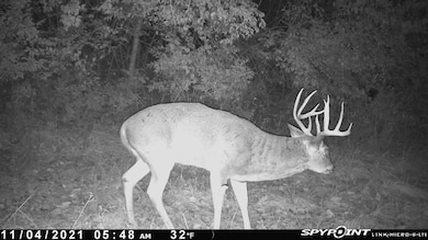 24971 88th Ave, New Virginia, IA 50210 - photo 6