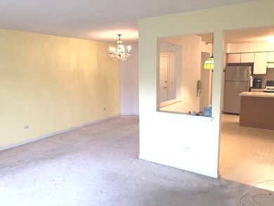 1220 Depot St unit 211, Glenview, IL 60025 - photo 3