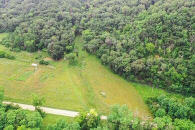 24699 E Burns Valley Rd, Wilson Township, MN 55987 - photo 4