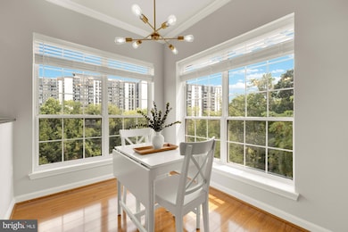 4550 Strutfield Ln unit 2405, Alexandria, VA 22311 - photo 4