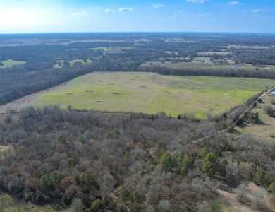 80ac Lot2 County Road 2376 unit 2, Winnsboro, TX 75494 - photo 3