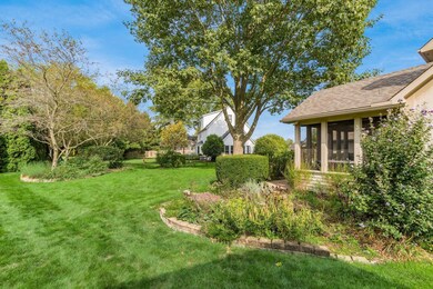 Back & Side Yard