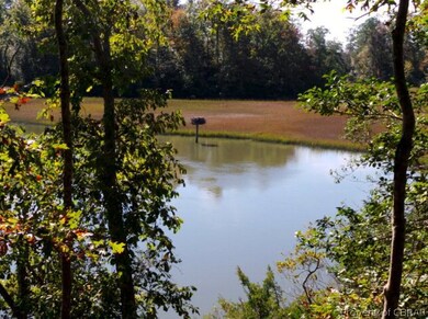 Water Views
