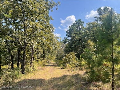 Tract 8 River Rd, Whitesboro, OK 74577 - photo 6