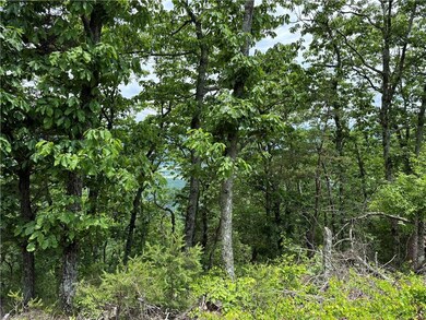View of wooded area