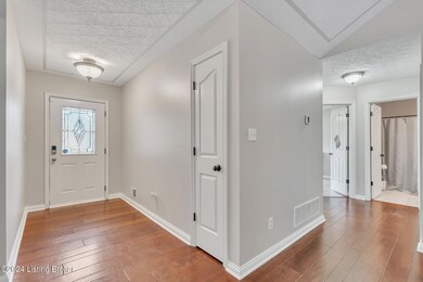 7004 Catalpa Springs Dr, Louisville, KY 40228 - photo 4