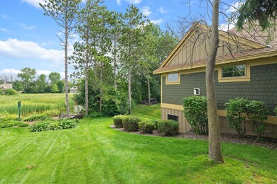 4646 Fable Hill Way N, Hugo, MN 55038 - photo 3