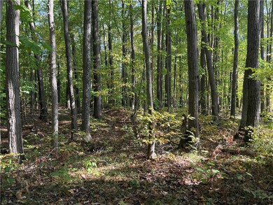 XXX Deep Lake Rd, Madge, WI 54870 - photo 7