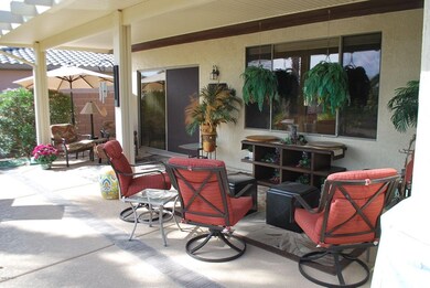 Back patio