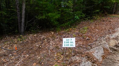 19-7 Winnipesaukee Dr unit Survey lot 7-Town lo, Wolfeboro, NH 03894 - photo 3