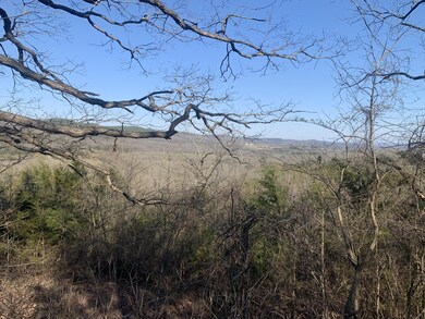 Tbd Scenic Valley, Shell Knob, MO 65747 - photo 5