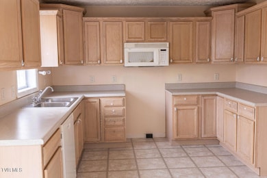 109 Leedy Ln, Jonesborough, TN 37659 - photo 4