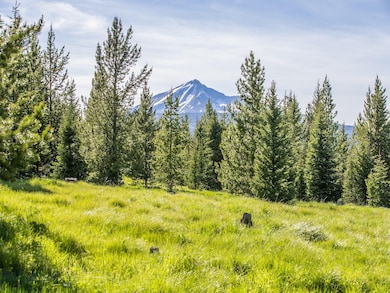 Lot 28 Elk Ridge Ranch, Big Sky, MT 59716 - photo 4