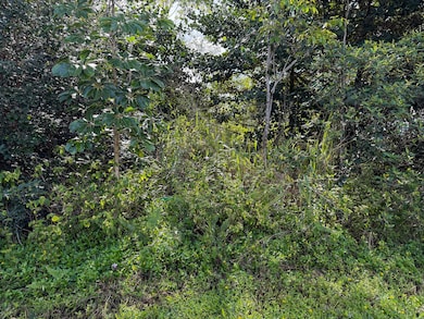 0 2nd Ave unit 725811, Keaau, HI 96749 - photo 5