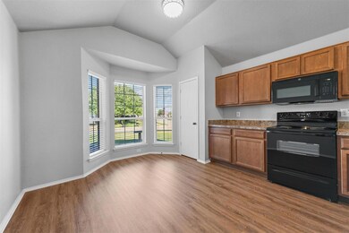 4200 Beryl Ln, Granbury, TX 76049 - photo 6