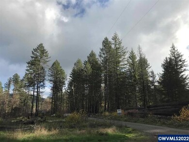 23655 Santiam Way SE, Lyons, OR 97358 - photo 3