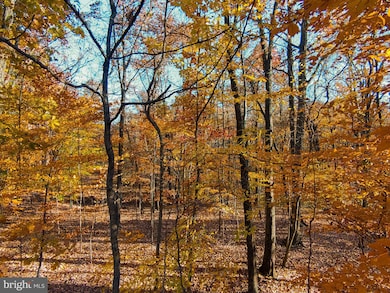 0 Goaway Road #2, Hedgesville, WV 25427 - photo 6