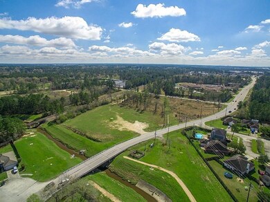 25707 Hanna Rd, Spring, TX 77386 - photo 4