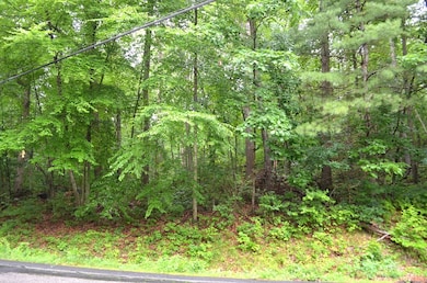 Lot 4 Babcock Tavern Rd, Hardwick, MA 01082 - photo 4