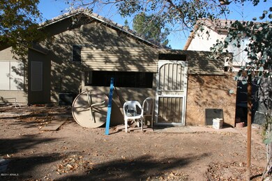 Backyard 3