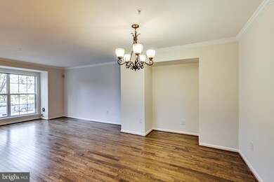 15742 Ensleigh Ln, Bowie, MD 20716 - photo 7